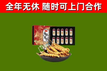 秦州区回收冬虫夏草价格